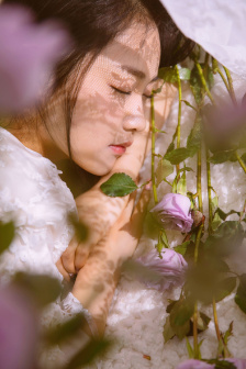 浪漫樱花电影免费观看视频